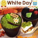 ＼まだ間に合う★200円クーポン／ ホワイトデー お返し 2026 チョコレート チョコ プチギフト プレゼント ギフト 芋ほ…