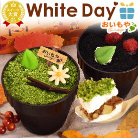 ＼遅れてごめんね！／ ホワイトデー お返し 2026 チョコレート チョコ プチギフト プレゼント ギフト 芋ほりティラミス ティラミス スイーツ お菓子 洋菓子 本命 義理 彼女 最強翌日配送 おいもや