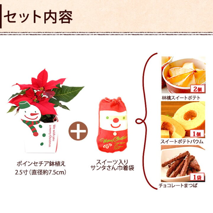 楽天市場 クリスマスプレゼント ポインセチア 花 プレゼント スイーツ お菓子 ギフト クリスマスケーキ 2 5寸 静岡 おいもや