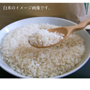 R6NY@ā@ā@Vā@RVqJ@̂@mY@1L