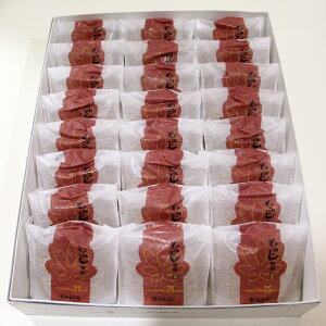  ܂ ݂\ (Q) 30 ܖ3T kCE͕ʓr1,200~