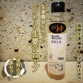 楽天市場 生姜 シロップ 効能の通販 楽天市場 生姜 シロップ 効能の通販