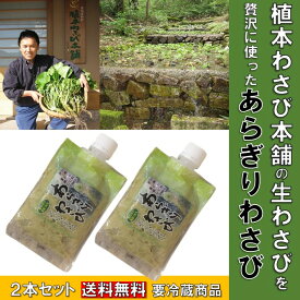 【 次回発送は1/5～となります 】万能 調味料 あらぎりわさび 送料無料 植本わさび 100g×2本 生わさび 100%国産 使用 万能調味料 広島名産 吉和 わさび 本格派わさびチューブ 肉料理 行列 わさび 葉漬け ステーキ 万能ソース ワサビ ソース お刺身