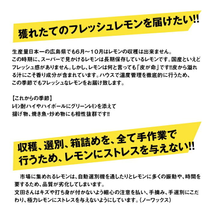 楽天市場 単一農家の徹底した品質管理 レモン 国産 送料無料 良品 2ｋ 14玉 24玉入 皮まで使える 減農薬 安心 安全 果汁 広島レモン 良品 傷なし 同梱無料 ビタミン補給 スムージー 鮮度抜群 健康維持 レモン果汁 防腐剤 不使用 ノーワックス おいしい広島