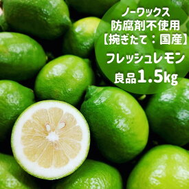 フレッシュ 良品 レモン 送料無料 捥ぎたて レモン 国産 (ハウス) 1.5kg もぎたて【13玉～18玉入】フレッシュ 予約販売 瀬戸内産 柑橘 果汁 広島レモン 傷なし 同梱無料 ビタミン補給 スムージー 鮮度抜群 健康維持 レモン果汁 同梱可能