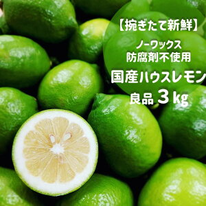  VN Y  ăMtg 3kg i27ʁ`33ʓj h sgp m[bNX k ʏ` L Ȃ  r^~⋋ X[W[ ʏ` r^~C P_