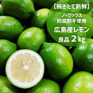 P_Ƃɂ錵Ii Y    LY2ky18ʁ`22ʓztbV ʏ` Ǖi Ȃ  r^~⋋ X[W[ NxQ Nێ ʏ` h sgp