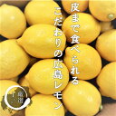 楽天市場 フルーツ 果物 不使用添加物 保存料 防腐剤 人気ランキング1位 売れ筋商品