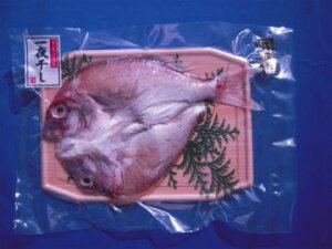 �y�Ⓚ�z�����Y�̐V�N������銱��(�^��)