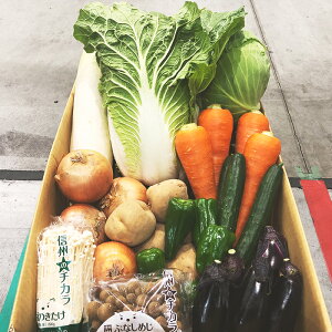 yze[NZ[2eII lC11iڂ̂؃Zbg 1ʌyz