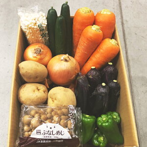 yze[NZ[3eII PgҌlC8iڂ̂؃Zbg 1ʌyz