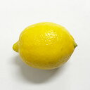 輸入レモン1個、50g〜150g前後