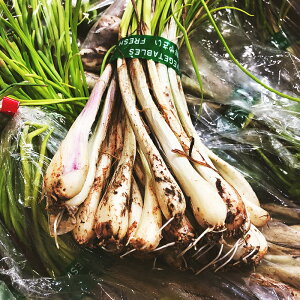 ̂ɁII傤qV}bLEr250gO