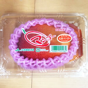 ���Y�}���S�[1�� 250g�`500g �p�b�N���芮�n �Â� �t���[�c�V�N