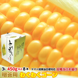 【25％OFF】送料無料 ギフト とうもろこし トウモロコシ わくわく 約3.6kg 3L 450g以上 8本 茨城県 産直 朝採り 当日出荷