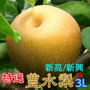  Mtg Ȃ n L/V/V I 3Lȏ 5kg  p v[g 錧Y a  ̓