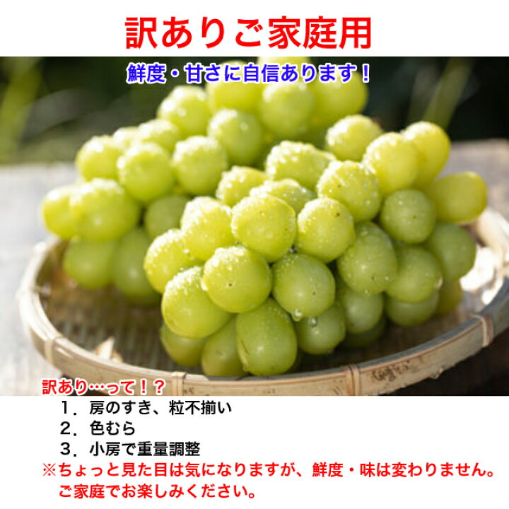 訳あり 巨峰 茨城県 巨峰予約 ぶどう フルーツ 種あり 約2kg ご家庭用 ブドウ 葡萄 甘い 美味しい お取り寄せ 産地直送 着後レビューで  送料無料