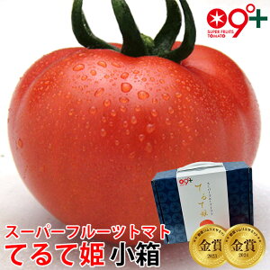 y12/10 |Cg 20{zt[cg}g Mtg ĂĕP X[p[t[cg}g (8`12 800g) ̃Xv[I Ƃ܂ g}g x p  ̓