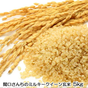 _͔|  ߘa7N ֌񂿂 ~L[NC[  5kg Mtg     _ S S