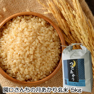 _͔|  ߘa7N ֌񂿂   5kg Mtg     _ S S 錧