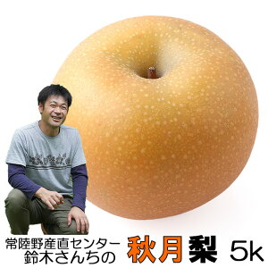 yXő |Cg 20{z H Ȃ ؂񂿂 n H (G) Lȏ`6L 5kg   p a Japanese pear ̓