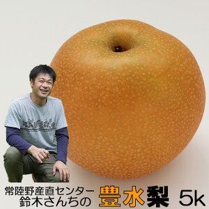 L Ȃ ؂񂿂 n L (G) Lȏ`6L 5kg   p a Japanese pear ̓