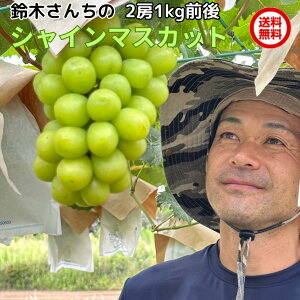 VC}XJbg Mtg G 2[(1kgO) uhE Ԃǂ  t[c  p 錧Y Yn ̓