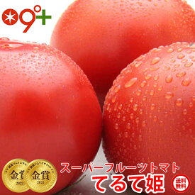 ギフト てるて姫 フルーツトマト スーパーフルーツ トマト 大箱×2(1箱18～35玉 約2.8kg) とまと 送料無料 贈答用 茨城県