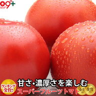母の日 フルーツトマト ギフト スーパーフルーツ トマト 大箱(18〜35玉 約2.8kg) とまと 送料無料 贈答用…