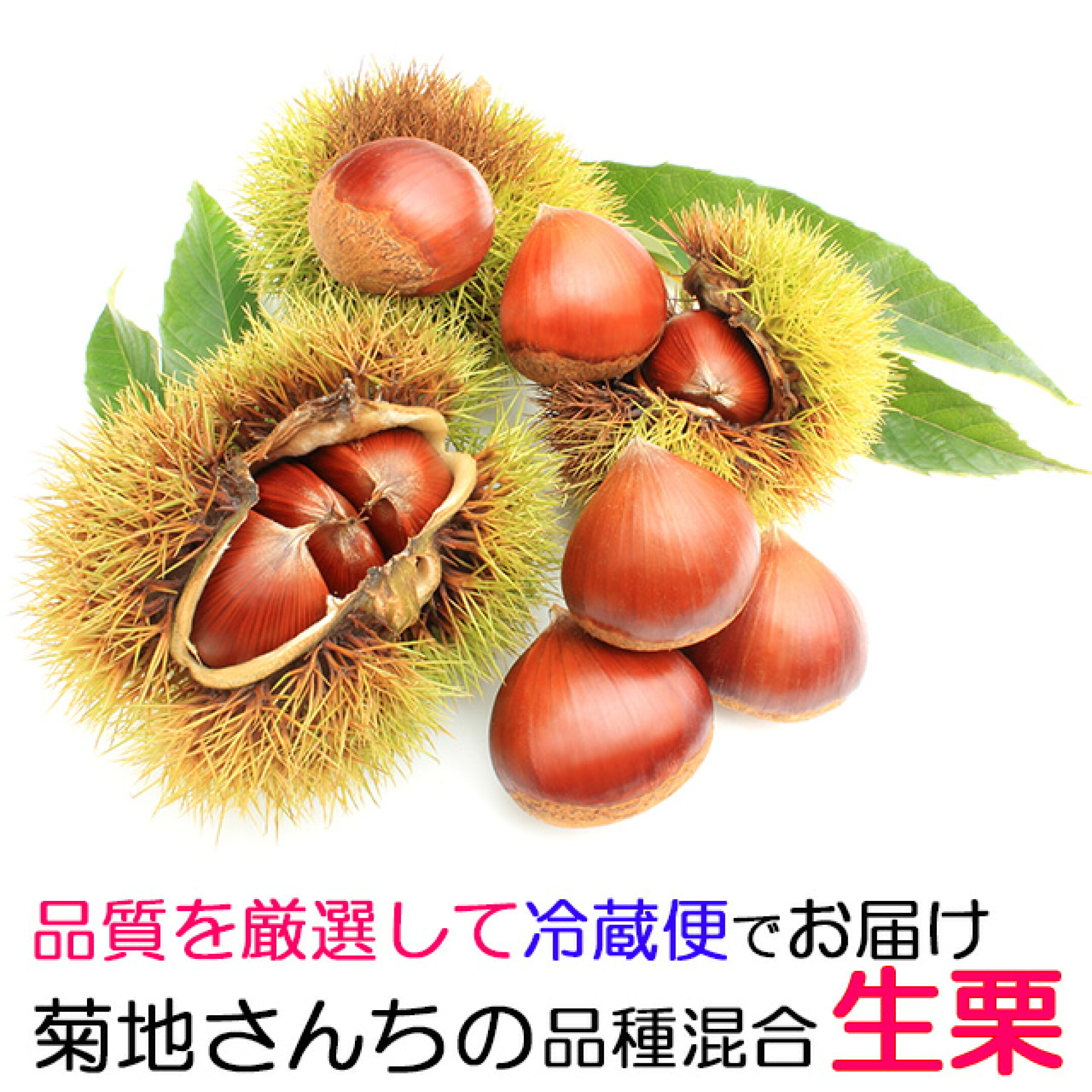 低温貯蔵し、11月まで出荷可能に！