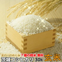 楽天市場】玄米30kg 栃木県産の通販