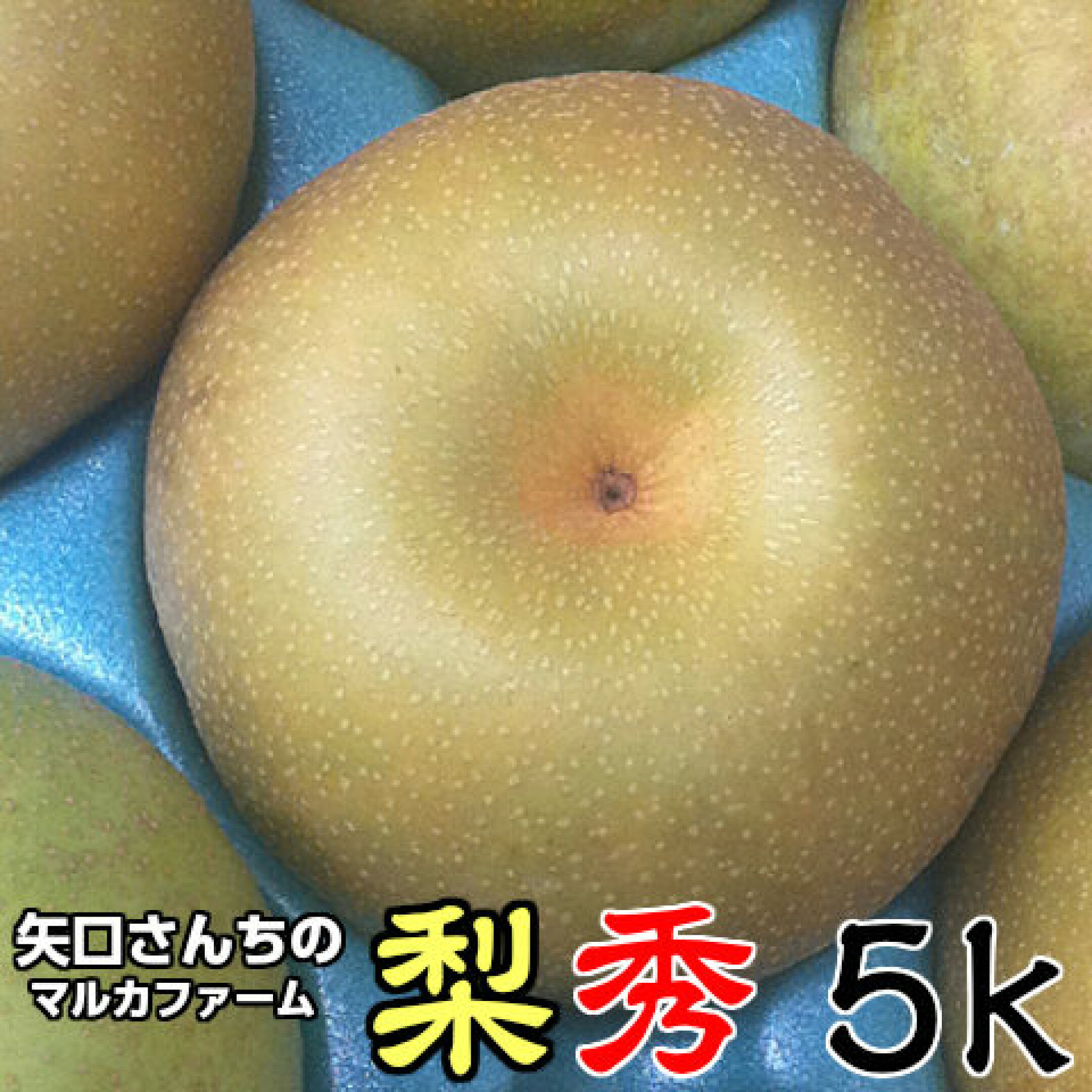 今、皆さんに選ばれています！！