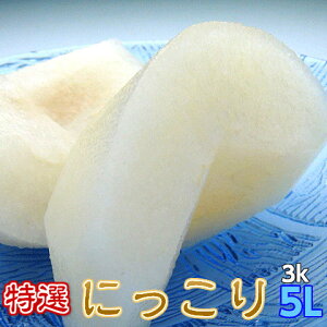  ɂ Mtg Ȃ n ɂ藜 I 5Lȏ 3kg  p v[g  錧Y a ̓