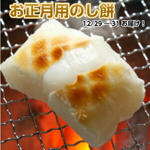 ̂  ̂  ꏡ  \ 2kg ߘa7NY V }Qc( ܂񂰂)100gp   ̓