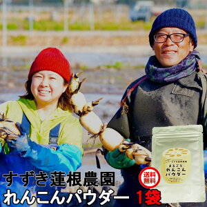 れんこん パウダー レンコン れんこんパウダー 50g×1パック 粉れんこん レンコンパウダー 蓮根パウダー 茨城 土浦 霞ヶ浦 送料無料 すずき蓮根農園 父の日