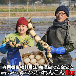 񂱂 R 1kg  yY Y R @ ƒp R ۑ @  @_  Mtg Yn lotus root ̓