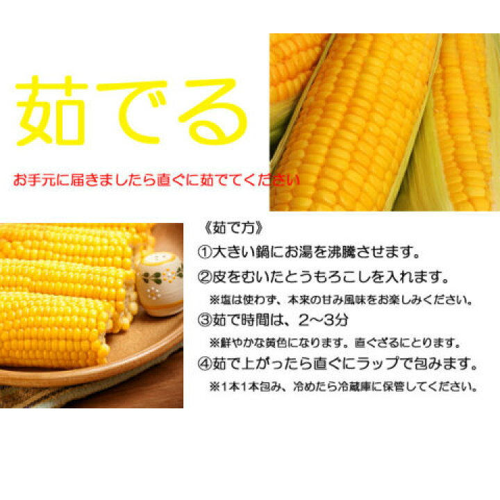 21激安通販 とうもろこし 茨城県 トウモロコシ ギフト用 プレミアム クリスピーホワイト 朝採り 3 6kg 3l 450g以上8本 収穫日出荷 離島除く東京 7県は即日お届け 甘い Rmladv Com Br