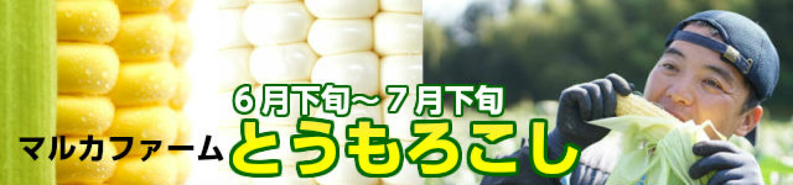 朝採り当日出荷！マルカファームのトウモロコシが予約開始！！