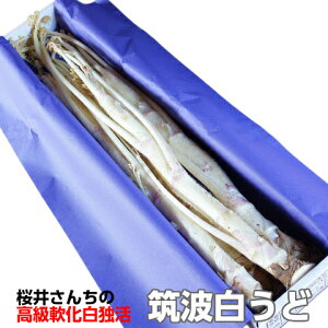  Eh Mtg Ɗ    _炩 }g  L 2kg (6`7{) p  錧 Yn ̓