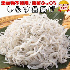 シラス しらす お中元 送料無料 冷凍 ギフト 釜揚げしらす ちりめんじゃこ 化粧箱入り 500g 贈答用 白す お取り寄せ 添加物不使用 茨城県 大洗