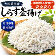 敬老の日 冷凍 釜揚げしらす 500g シラス【茨城 大洗前浜産】添加物不使用 離乳食 お取り寄せ 送料無料 …