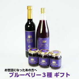 送料無料 ギフト ブルーベリーワイン 500ml×1本 ブルーベリージャム 150ml×3本 やわらぎ果実 750ml×1本 セット