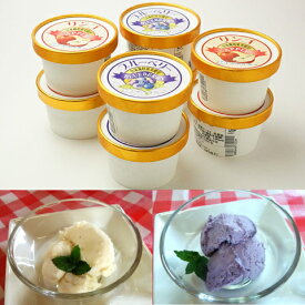 送料無料 ギフト アイス 無着色 無香料 ブルーベリー アイスクリーム りんご アイスクリーム 100ml×各5個 計10