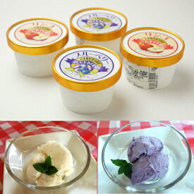 送料無料 ギフト アイス 無着色 無香料 ブルーベリー アイスクリーム りんご アイスクリーム 100ml×各3個 計6個
