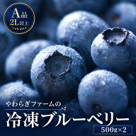 敬老の日 ブルーベリー 冷凍 1kg（500g×2）国産 茨城県産 大粒 特別栽培 送料無料 お中元 夏ギフト ヨー…