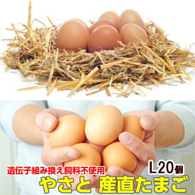 たまご 卵 送料無料 初回限定 卵 やさと 産直たまご L20個 産地直送 安全安心 産み立て タマゴ 玉子 茨城 お取り寄せ