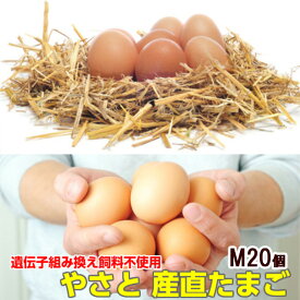 たまご 卵 送料無料 初回限定 卵 やさと 産直たまご M20個 産地直送 安全安心 産み立て タマゴ たまご 玉子 茨城 お取り寄せ