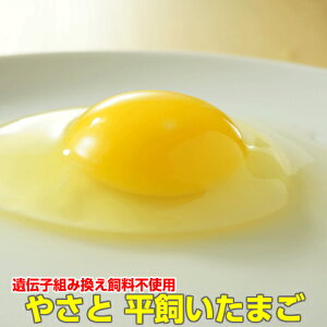 ܂     ₳   M20 Mtg Yn SS Yݗ ^}S ܂ ʎq  