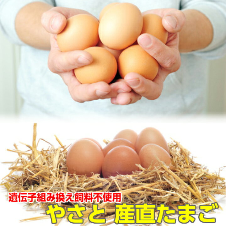 楽天市場 送料無料 初回限定 卵 やさと 産直たまご L個 産地直送 安全安心 産み立て タマゴ たまご 玉子 茨城 お取り寄せ おいしいねいばらき楽天市場店
