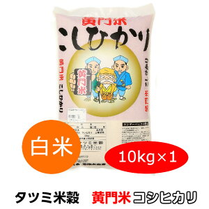  10kg   RVqJ Ђ   10kg ߘa7NY Mtg 錧    헤cY ̓